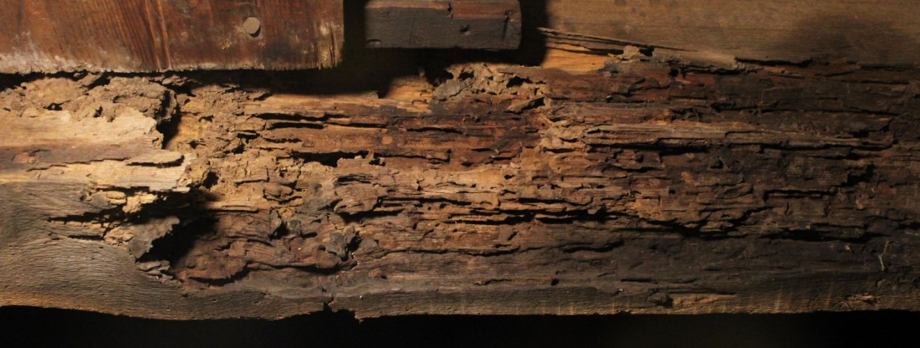 Who’s the Best Exterminator in Orange County for Structural Fumigation?