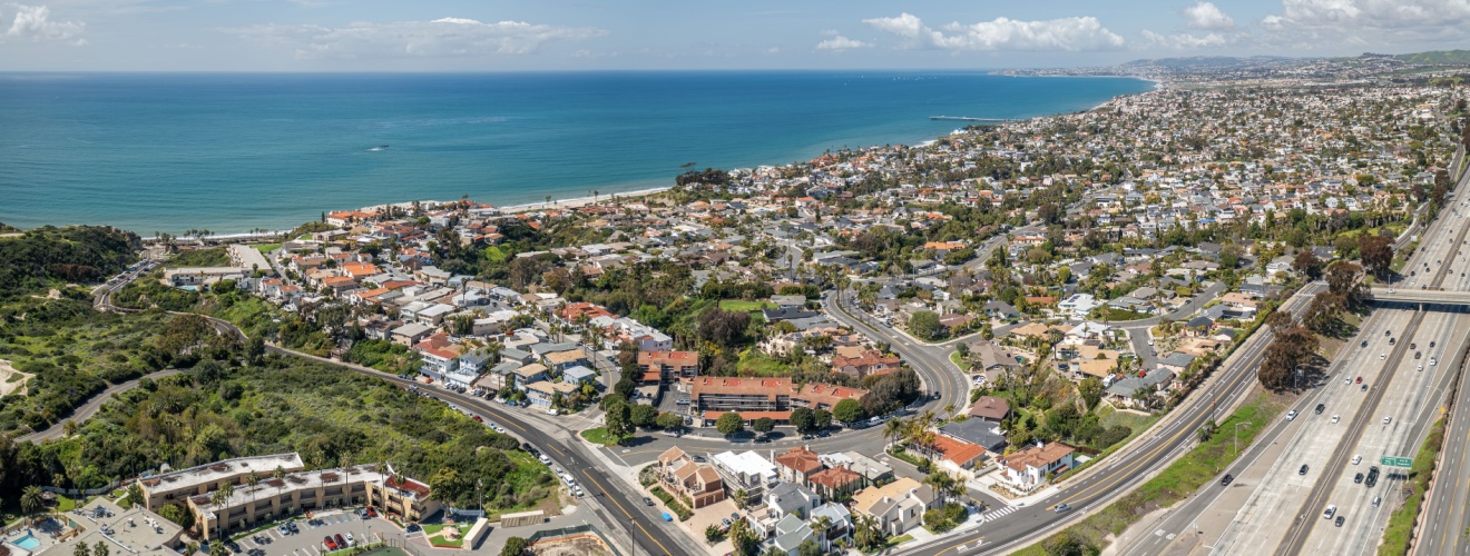 Saddleback Termite and Pest Control: Orange County’s #1 Exterminator