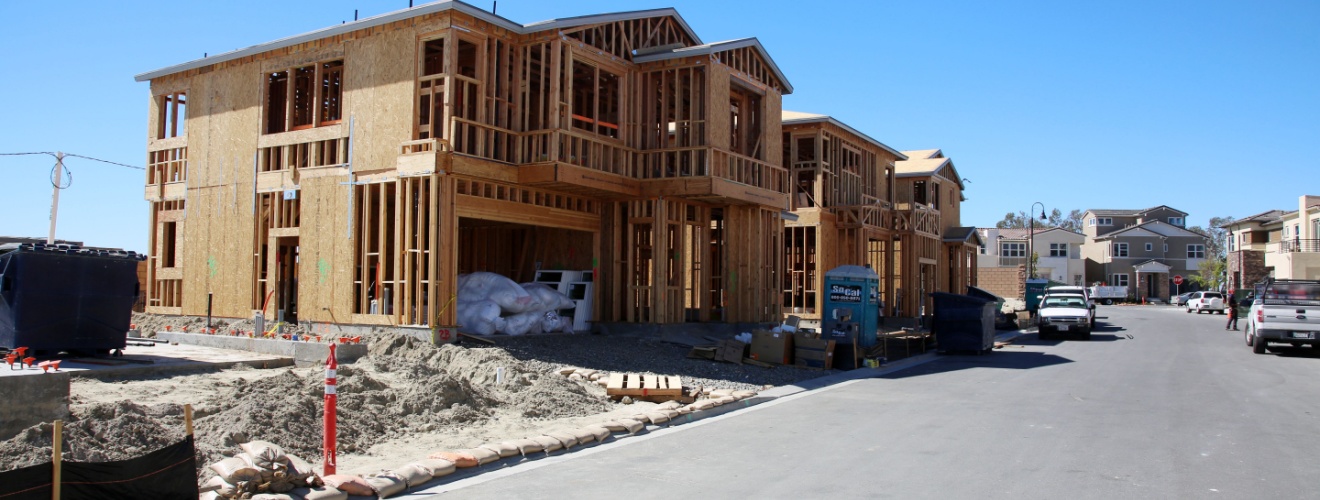 Are New Construction Communities in Lake Forest More Susceptible to Pest Issues?